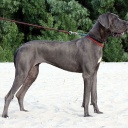 Открыть категорию