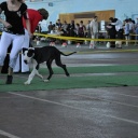 AVRORA DIOS DE LS VIDA