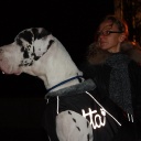 Киев (декабрь, 2011)