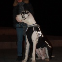 Киев (декабрь, 2011)