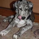 ADEITASUNA DIOS DE LA VIDA