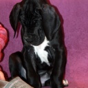 57 дня \\ 57 days