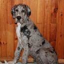 ALFA DIOS DE LA VIDA