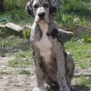 ADEITASUNA DIOS DE LA VIDA