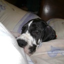 APAIR  ZERUKO  DIOS  DE  LA  VIDA