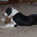 AVRORA  DIOS  DE  LA  VIDA