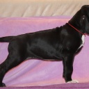 54 дня \\ 54  days