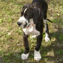 APAIR  ZERUKO  DIOS  DE  LA  VIDA