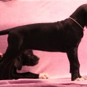 56 дня  \\  56 days