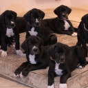 57 дня \\ 57 days