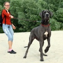 Открыть категорию