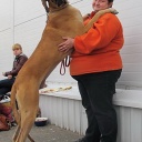 Биг Бой нуо Гражучиу