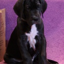 57 дня \\ 57 days