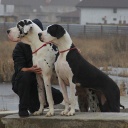 Aragorn DIOS DE LA VIDA & Avrora DIOS DE LA VIDA