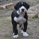 APAIR  ZERUKO  DIOS  DE  LA  VIDA