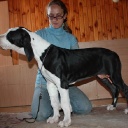 AVRORA  DIOS  DE  LA  VIDA