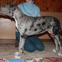 ALFA DIOS DE LA VIDA