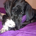 5 месяцев \\ 5 month