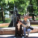 Zamin be my dream terra alano