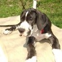 APAIR  ZERUKO  DIOS  DE  LA  VIDA