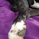 5 месяцев \\ 5 month