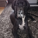 5 месяцев \\ 5 month