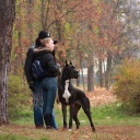 Zamin be my dream terra alano