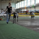 Cosmo Lady terra alano