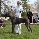 Открыть категорию