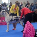 Открыть категорию