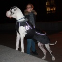 Киев (декабрь, 2011)