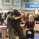 December 04, 2016 FCI-CACIB &quot;Crystal Cup of Ukraine - 2016&quot;