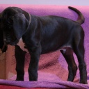 57 дня \\ 57 days