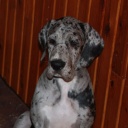 ADEITASUNA DIOS DE LA VIDA