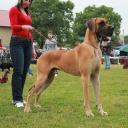 Биг Бой нуо Гражучиу