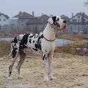 Aragorn DIOS DE LA VIDA 