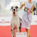 Чемпионат Мира - 2015